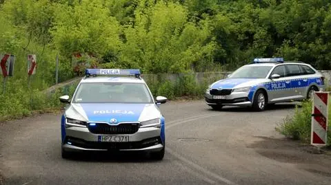 Więcej kontroli i nowe radiowozy. Drogówka szykuje się na długi weekend