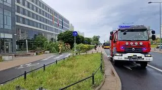 W wyniku burzy na Ursynowie przewróciło się drzewo