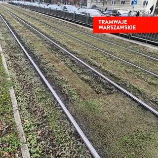 Rozjeżdżony rozchodnik na torowisku 