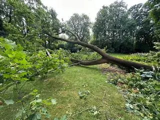 Łazienki Królewskie po nocnej nawałnicy