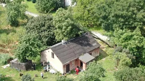Drzewo przewróciło się na dom jednorodzinny