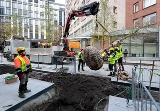 Przyszedł mróz, spadł śnieg, a oni sadzą drzewa