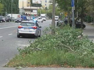 Drzewo spadło na kobietę na Ursynowie