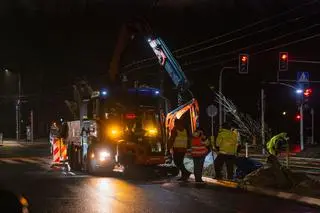 Sadzenie drzew wzdłuż torowiska na Marszałkowskiej