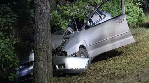 Po zderzeniu z łosiem auto uderzyło w drzewo 