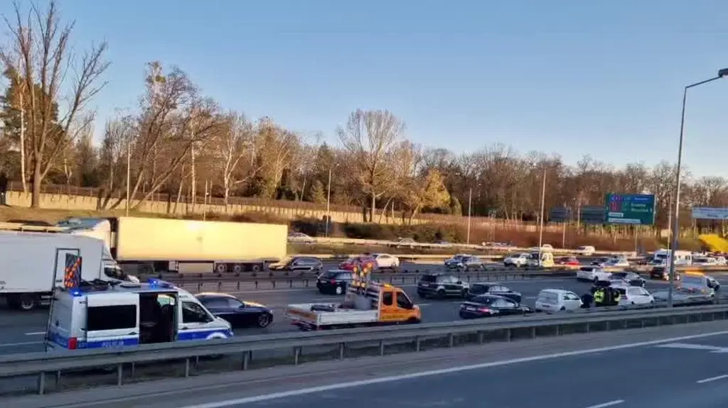 WhatsApp Video 2025-04-02 at 18