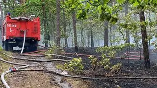 Pożar lasu pod Górą Kalwarią