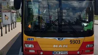 Pluszowy jamnik był zawsze za szybą autobusu