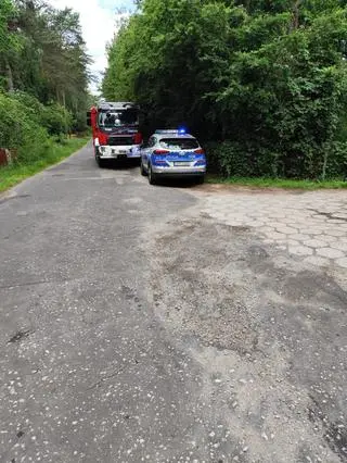 Samochód wjechał do stawu 