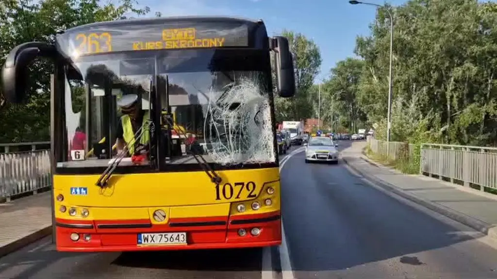 WhatsApp Video 2024-08-30 at 08