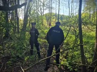 Policja podczas poszukiwań 16-letniej Mai z Mławy 