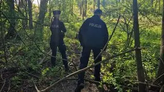 Policja podczas poszukiwań 16-letniej Mai z Mławy 