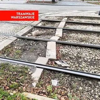 Rozjeżdżony rozchodnik na torowisku 