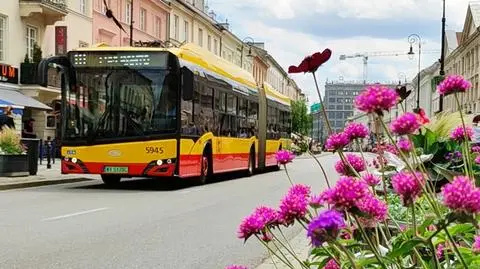 Autobusy wracają na Nowy Świat 