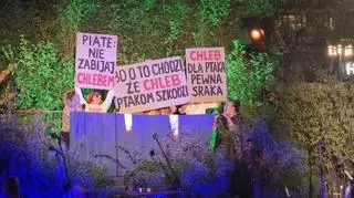 II Mistrzostwa Polski w Naśladowaniu Ptaków