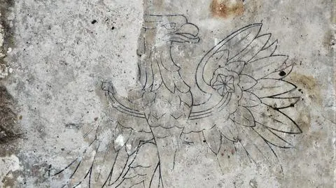 Piwnice XIX-wiecznej kamienicy przy Twardej