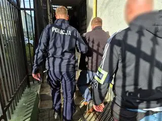 Kradli auta na potęgę