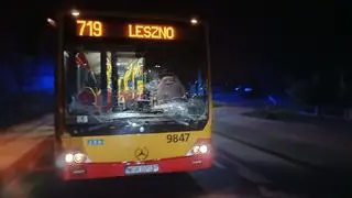 Kolizja z udziałem jelenia w miejscowości Leszno