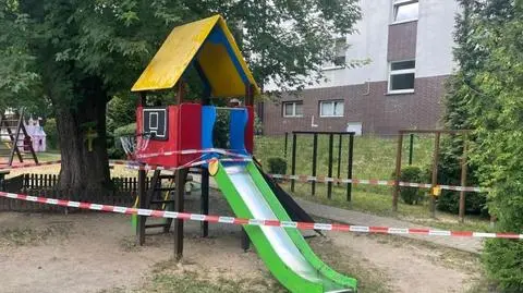 Osy zamieszkały w zabawkach przy przedszkolu
