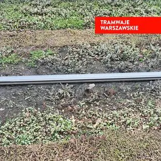 Rozjeżdżony rozchodnik na torowisku 