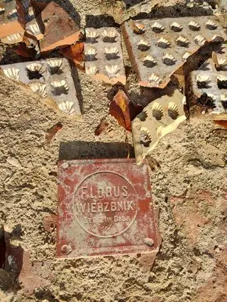 Odkryte pozostałości dawnej fabryki czekolady