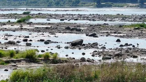 Wysychająca Wisła odsłoniła dno. Trwa sprzątanie, są odkrycia