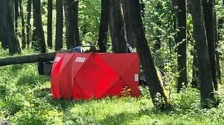 Jaguar rozbił się na drzewie, dwie osoby nie żyją