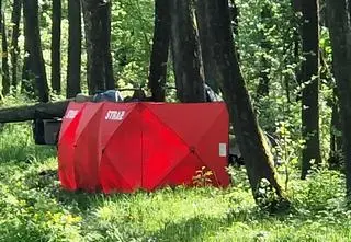 Jaguar rozbił się na drzewie, dwie osoby nie żyją