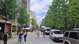 Trzy uschnięte platany przy Chmielnej