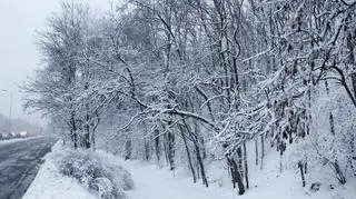 Śnieżyca w Warszawie