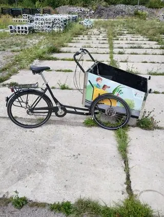 Flexi Cargo Bike wystawiony na sprzedaż