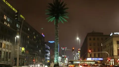Oświetlili palmę na urodziny
