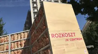 Instalacja ROZKOSZT na placu Pięciu Rogów