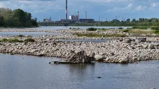 Rekordowo niski poziom wody w Wiśle