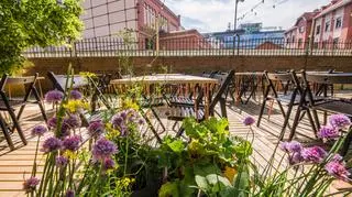 Pokój na lato - drewniany pawilon z kawą i kulturą