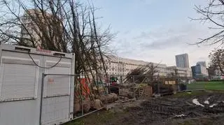 Sadzenie drzew wzdłuż torowiska na Marszałkowskiej