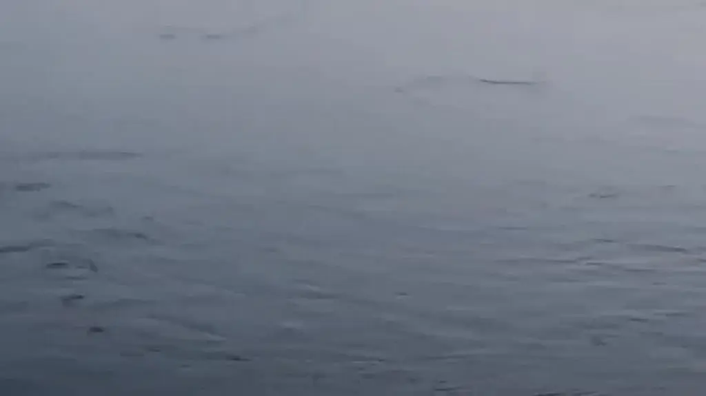 Z Wisły w okolicach mostu Gdańskiego wyłowiono ciało