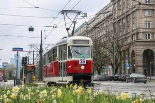 Od 1 maja do 24 września tramwaje linii 36 kursują w dni wolne od pracy, a w wakacje (od 26 czerwca do 3 września) codziennie