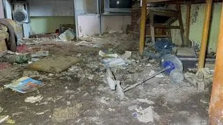 Zaniedbane psy były zamknięte w piwnicy 