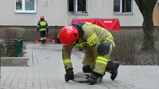 Pożar mieszkania w alei Stanów Zjednoczonych