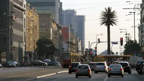 Przywrócą palmie liście