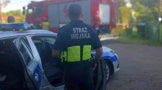 Strażnicy miejscy i policjanci gasili pożar na działkach