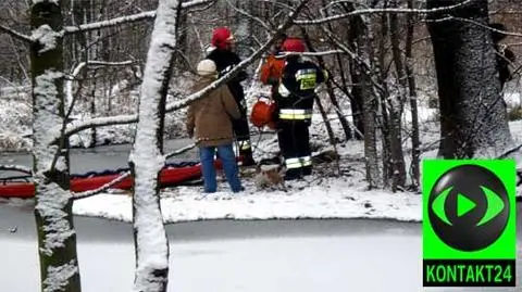 Pies utknął na wysepce