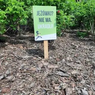 W miejscu skradzionych roślin ustawili tabliczki "Rośliny? Nie ma. Ukradli"