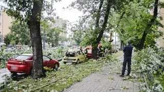 Drzewo spadło na samochody na Grochowie