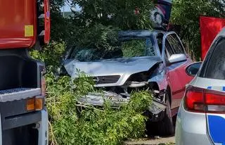 Auto uderzyło w drzewo w Nowej Woli