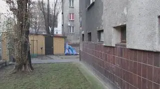 Worki z zielonymi odpadami na Pradze-Północ