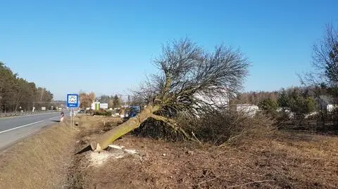 Ruszyły prace przy nowej wylotówce na Kraków