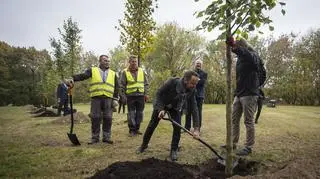 Po konferencji sadzono drzewa w parku Traugutta