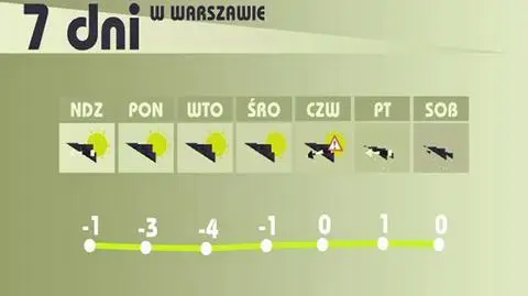 Na nowy rok: śnieg i gołoledź